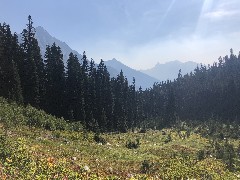 Maple Heather Trail, WA